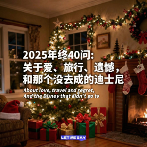 2025年终40问:关于爱、旅行、遗憾,和那个没去成的迪士尼
