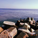 今天也是红烧cp