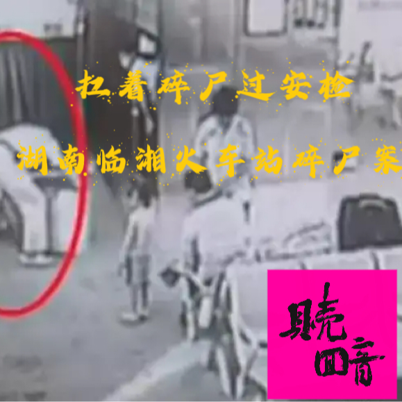 EP30.扛着碎尸过安检-湖南临湘火车站碎尸案 episode artwork