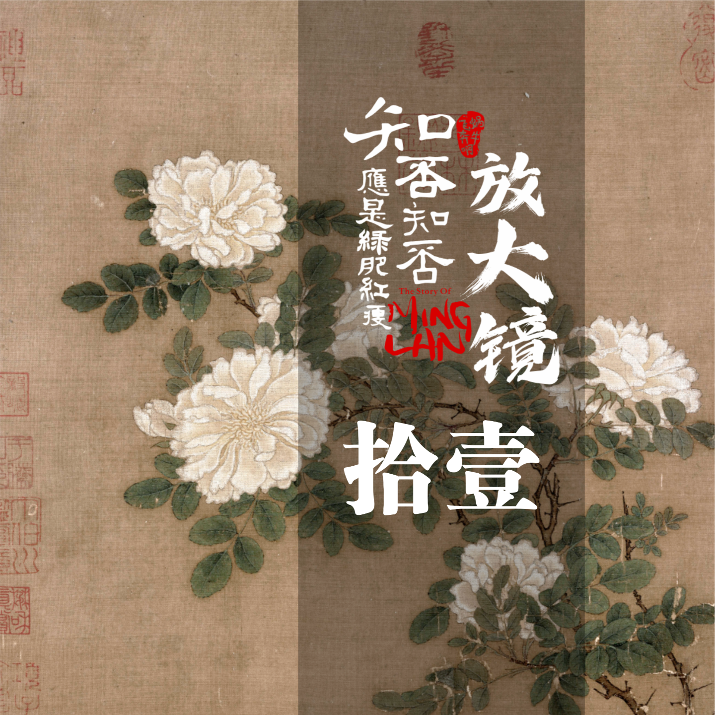 知否放大镜 11：爱的初体验 episode artwork