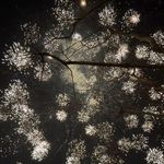 不许呆这儿