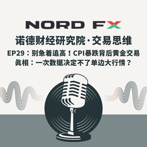 EP29:别急着追高!CPI暴跌背后黄金交易真相:一次数据决定不了单边大行情?