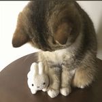 小小小小小海