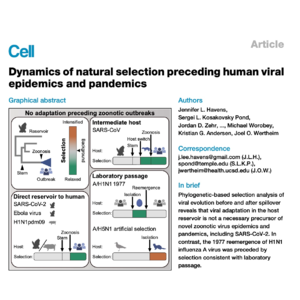 725-人畜共患病毒爆发前后的自然选择动态