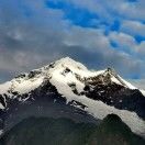 quentin_6358