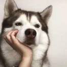 upupuppp