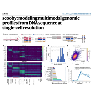 209-scooby: modeling multimodal profiles from DNA sequence