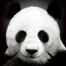 podcaster-avatar