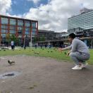 GOGO小香日富一日