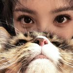 井淳儿