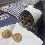 豆子茄子