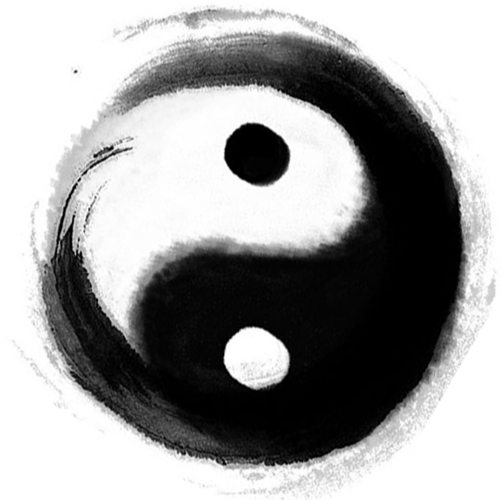 小红书与小黄书|老外万里寻亲|新时代的奴才与汉奸|Tk与老特老拜|庞氏骗局与特氏发币|小燕子的没落之路等等 episode artwork
