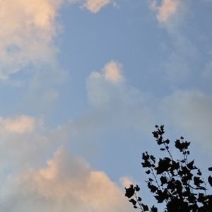podcaster-avatar