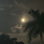 Lam_0000
