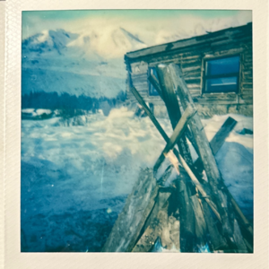 vol.6下｜南方人遇见北方大盆菜，黄桃罐头真的能治感冒吗？