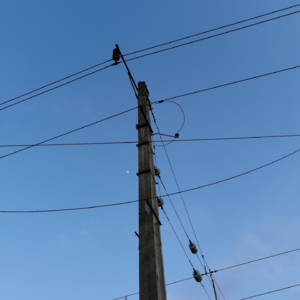 VOL167.化干戈为玉帛：我梦想自己的荣耀和人人的自由。