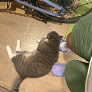 E018 如何消解一个人的孤独和无意义感？原来我不是个例