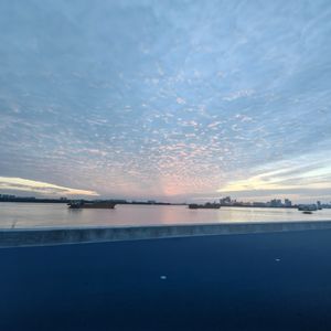 《伤寒论译释》自读自听