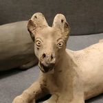 岳麓山下野狗