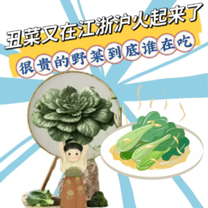 小时候最不爱吃的丑菜，又在江浙沪火起来了！还有200元一斤，奇奇怪怪又很贵的野菜