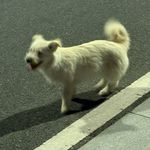 感觉_xLUs