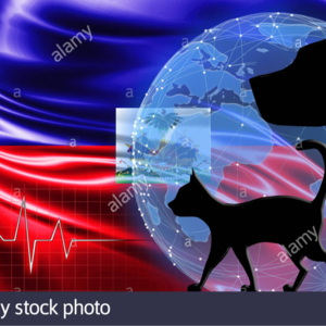 特朗普为何总和“阿猫阿狗”过不去