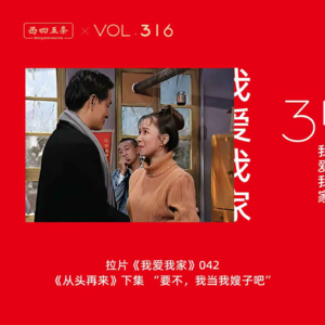316 拉片我爱我家|42《从头再来》下集“要不，我当我嫂子吧”