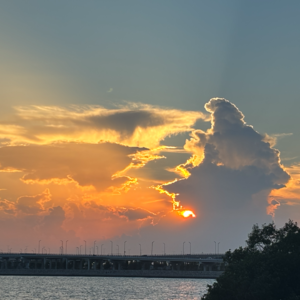 是时候该写篇小作文了