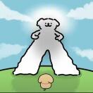 去码头整点蛋白粉