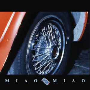 01 我是幸存者，也是战士