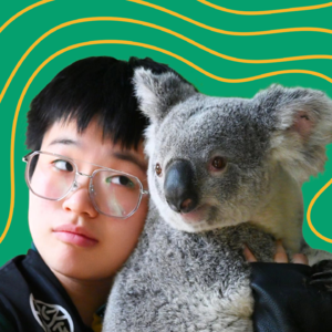 vol.84 夏日畅谈｜在动物园养考拉才是正经事