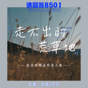 5·走不出的荒草地｜北京南城连环杀人案