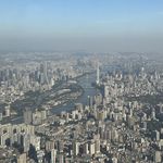 黄沙且少年