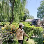 花花二殿下