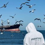 保温杯里有什么