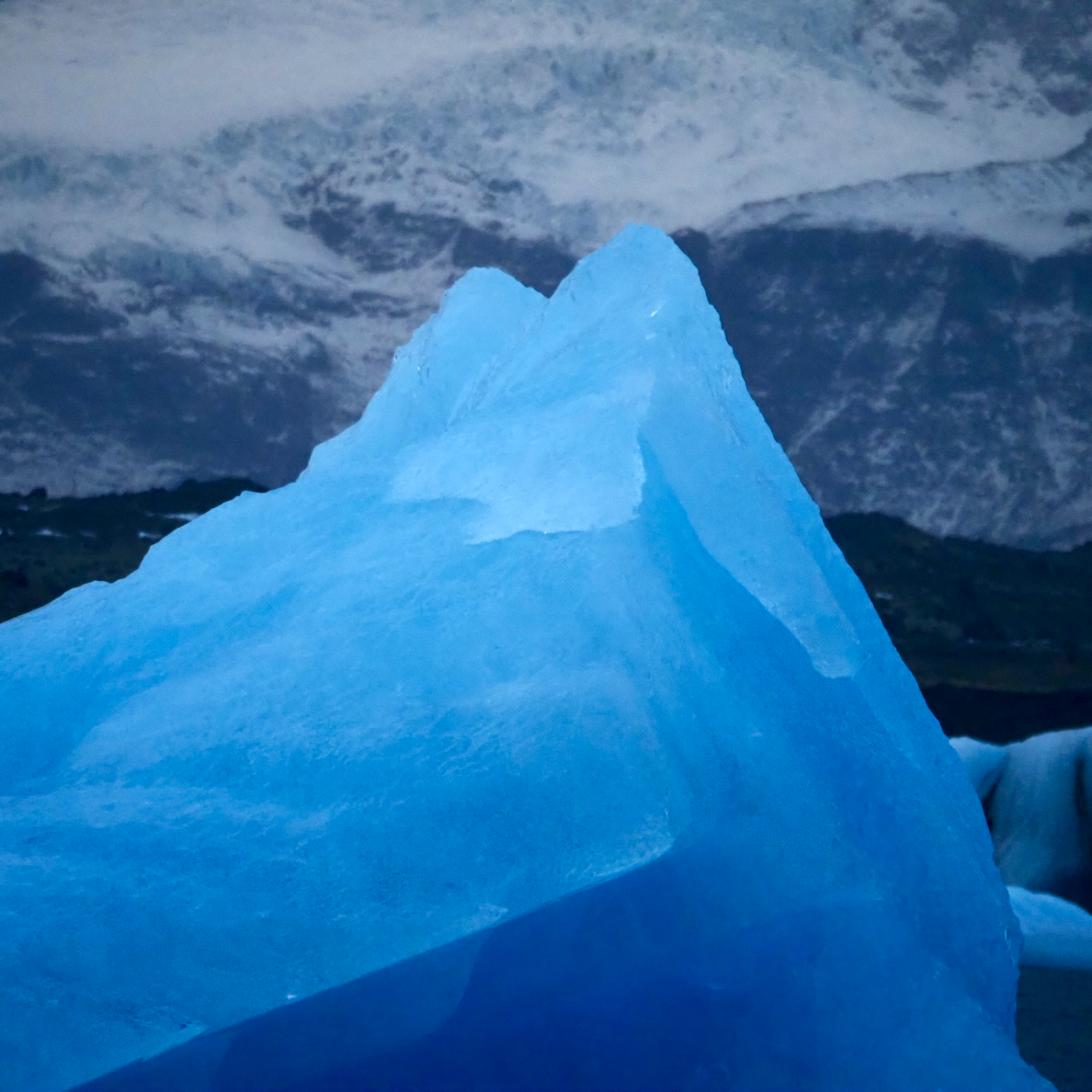 E25.🇮🇸冰岛冬日观鸟：在蓝色冰川下倾听世界尽头的海浪 episode artwork