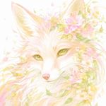 狐狐生威