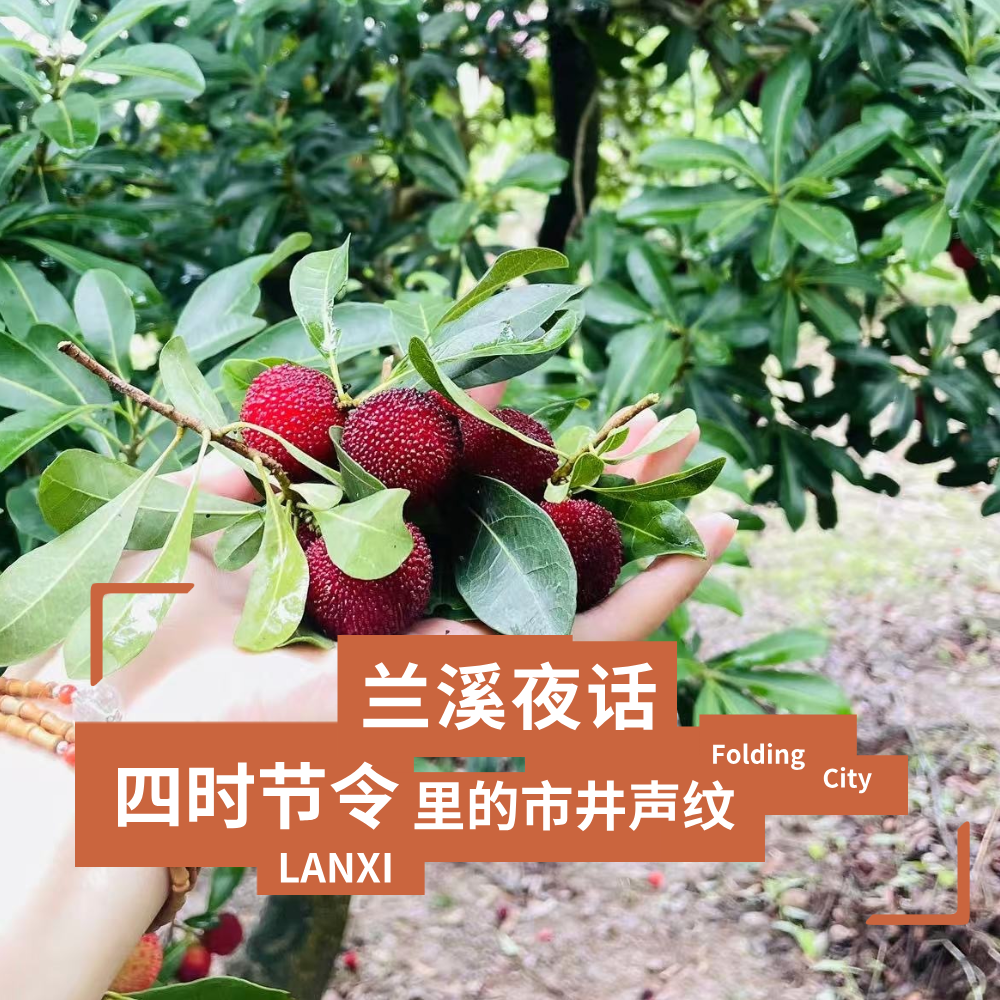 城市折叠07：兰溪夜话，四时节令里的市井声纹 episode artwork