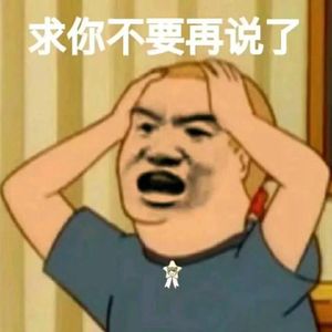 好了，你不要再说了