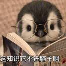 知识不进脑子_nrXT