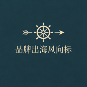 【第1期】避开欧美红海!这个中国品牌如何在东南亚一年狂销2.3亿?