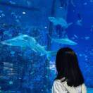 竹窗明