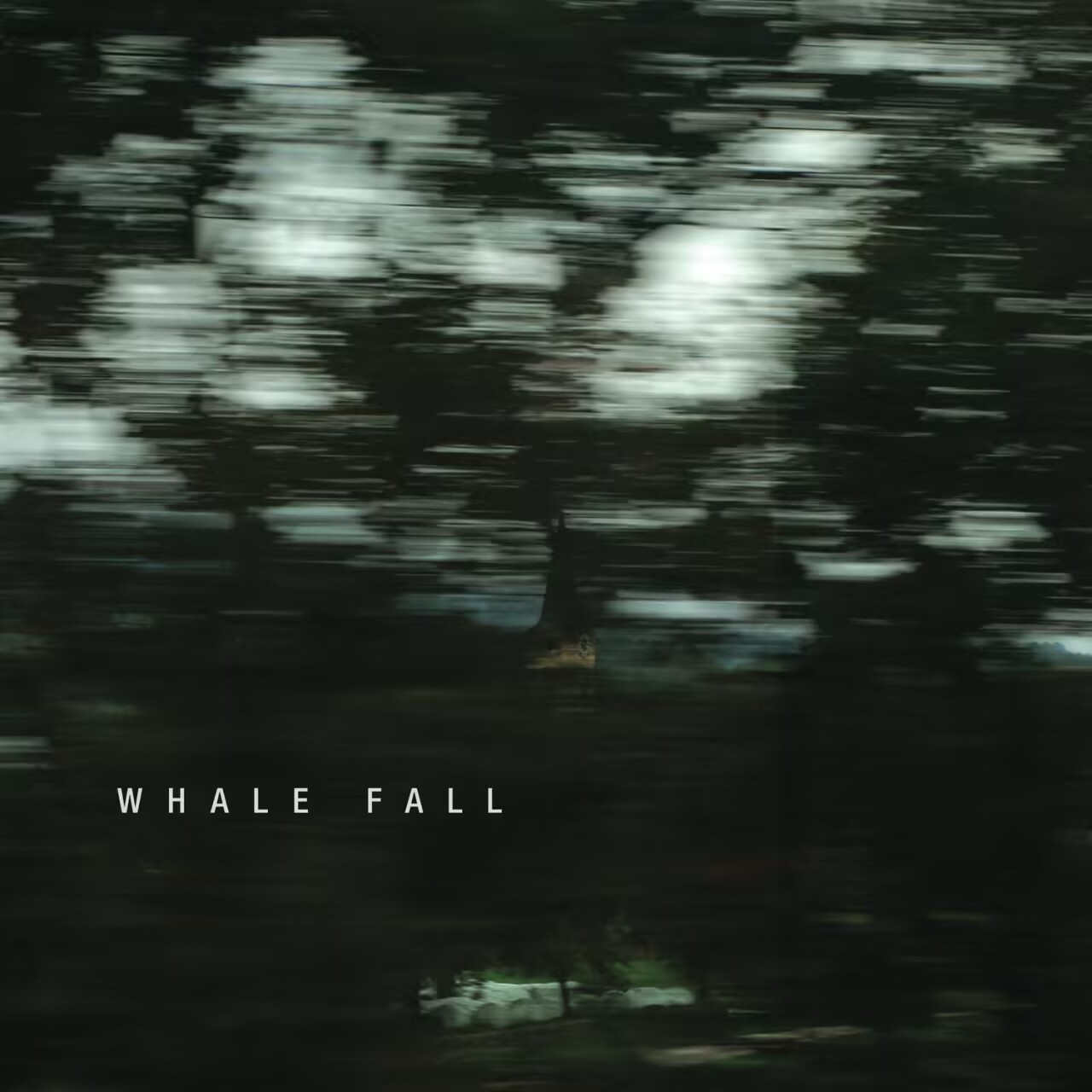 Whale Fall同名专辑 episode artwork