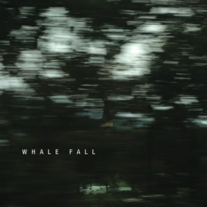 Whale Fall同名专辑