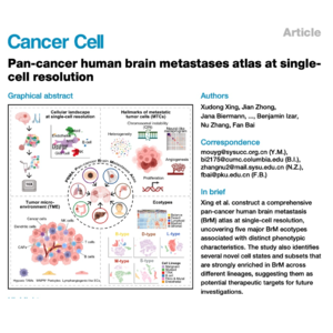 158-Single-Cell Landscape of Pan-Cancer Brain Metastases