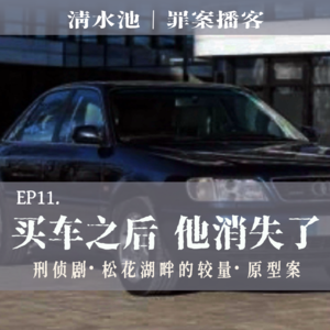 E11.买车之后,他消失了:刑侦局《松花湖畔的较量》原型案