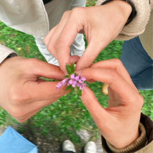 22. 与直男恳谈 | 男的能聊女性主义吗？