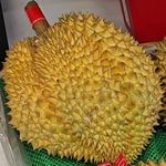 好像一颗榴莲