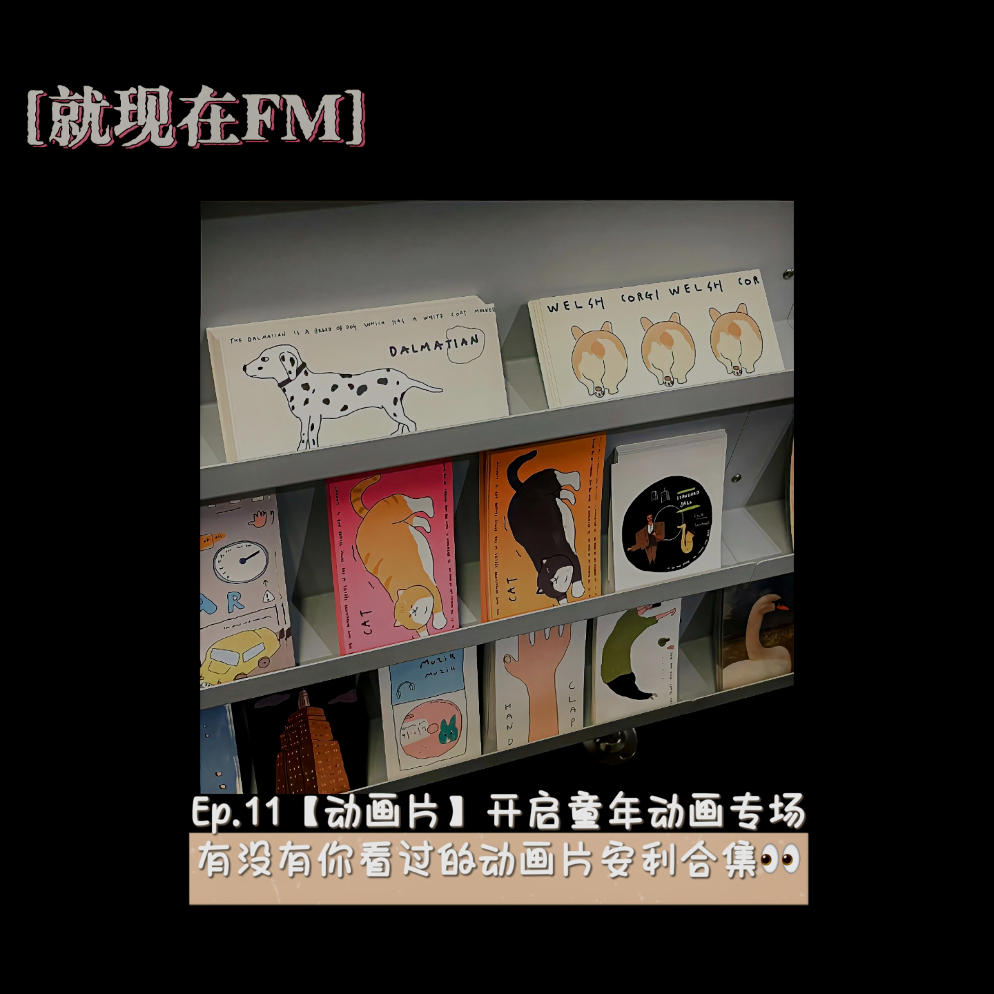 就现在FM