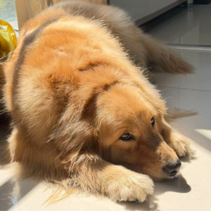 Vol.15 江浙沪独生女的自述